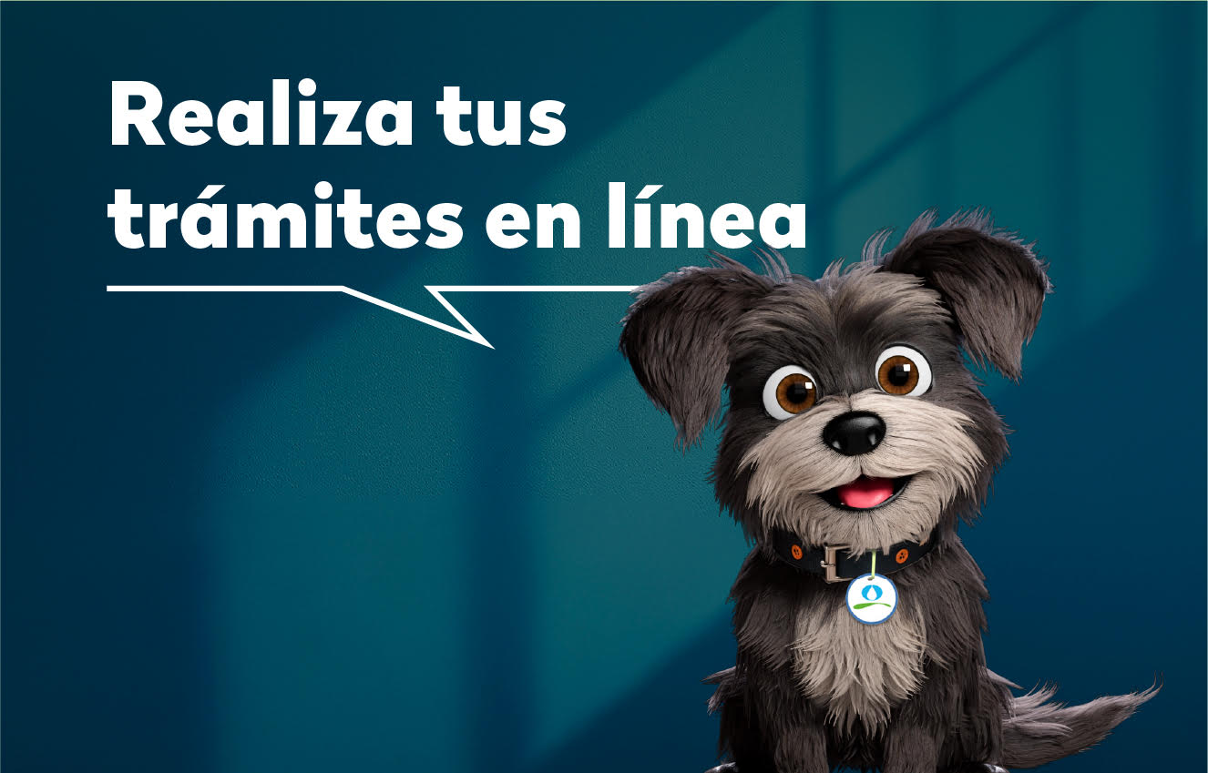 Regístrate en la web